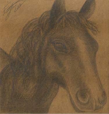 Horse Head Charcoal Drawing 29*29cm Print, Charcoal, Drawing of Pet, Pet Sketch, Pet Art, Horse Sketch, Photo to Sketch, Pet Portrait thumb