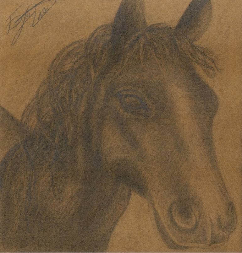 Horse Head Charcoal Drawing 29*29cm Print, Charcoal, Drawing of Pet