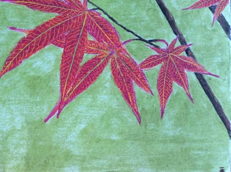 Maple Tree Drawing / The maple is a tree added by natura. - Population