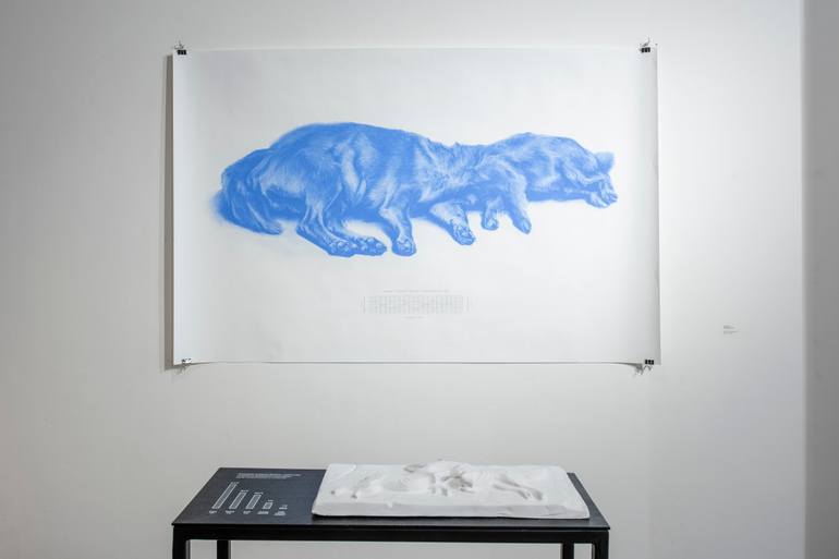 Original Conceptual Animal Drawing by Pavol Truben
