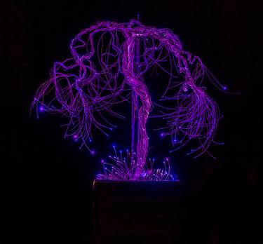 Illuminated LED copper Color changing Avatar tree thumb