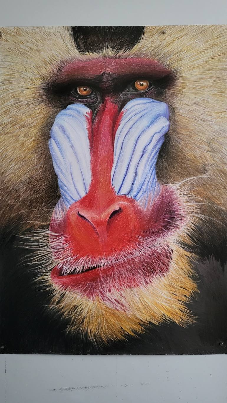 Original Realism Animal Drawing by Kamila Strzeszewska