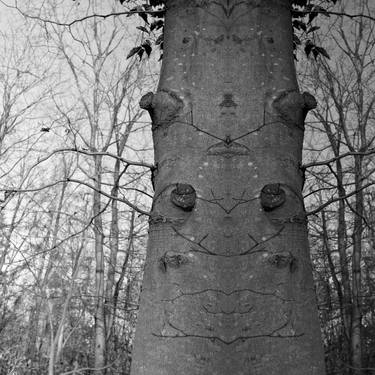 Print of Surrealism Garden Photography by Alexander Heiduschka