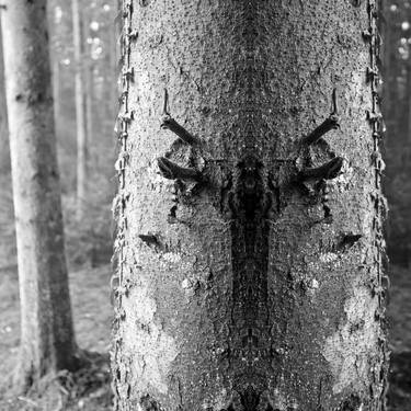 Original Surrealism Garden Photography by Alexander Heiduschka