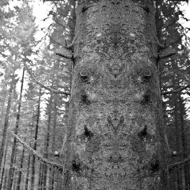 Original Surrealism Nature Photography by Alexander Heiduschka