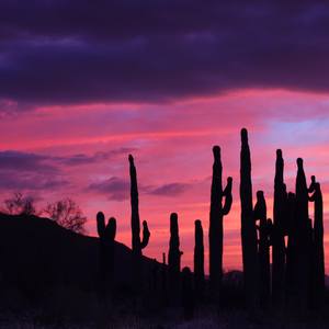 Collection Southwest Sunsets