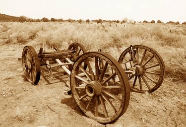 Print of Rural life Photography by Laurie Larson