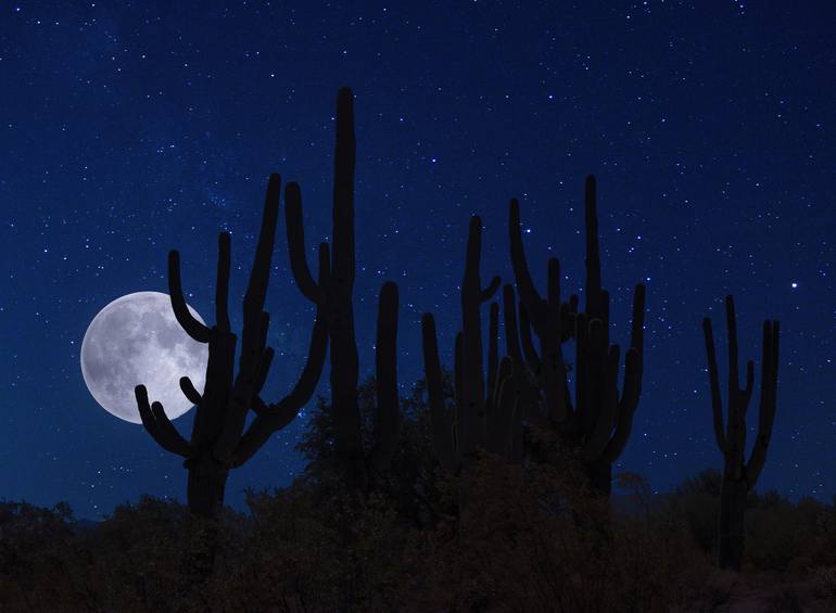 Full Moon Rising in Tucson