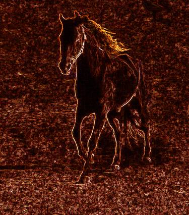 Original Horse Paintings by Laurie Larson