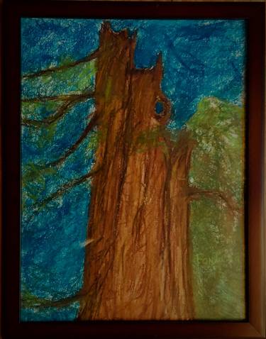 Original Expressionism Nature Drawings by William Fontana  Sr