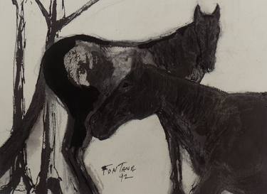 Original Animal Drawings by William Fontana  Sr