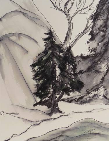 Original Expressionism Nature Drawings by William Fontana  Sr