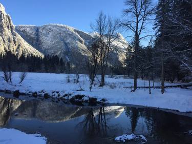 North Dome Behind the Trees - Limited Edition of 3 thumb