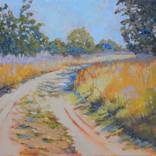 Down a White Sand Road by Joy Parks Coats