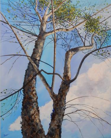 Print of Tree Paintings by Joy Parks Coats