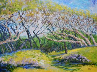 Print of Impressionism Tree Paintings by Joy Parks Coats