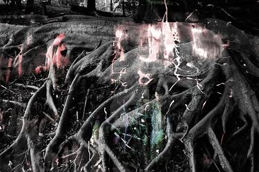 Print of Abstract Tree Photography by Sebasfixiarte Vélez Baena