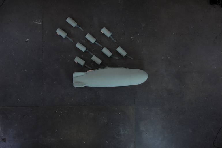 Original Conceptual Politics Sculpture by Hannah Van Luttervelt