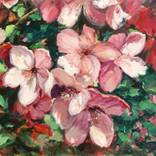 spring flower by Hunjung Kim