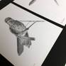Hummingbird drawing diptych