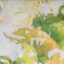 detail1
