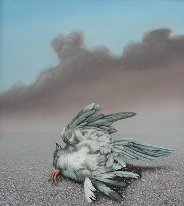 dead bird,seagull thumb