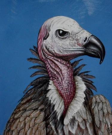 Original Realism Animal Paintings by Uko Post