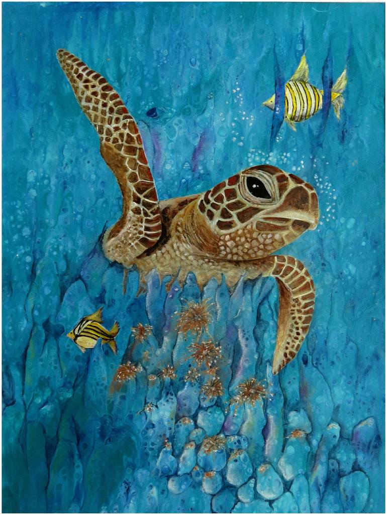 Australian Sea Turtle Art Print