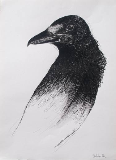 Original Figurative Animal Drawings by Clara Almada