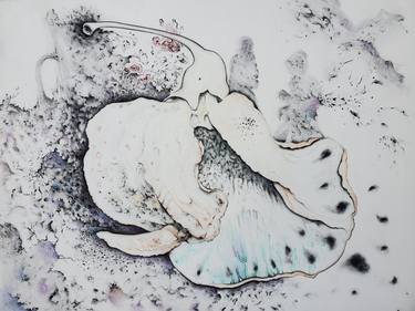 Print of Nature Drawings by Mieke Tracy