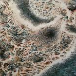 Siren by Mieke Blees