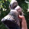 In recent years I started doing some ceramics, and I'm particularly enamored by the Raku firing process. I did this little torso last year and the natural weathered look really reminds me of how everything, including our bodies, is a play of the elements.
Given measurements are at the tallest and widest areas. The piece is hollow, so not very heavy, and easy to display.
