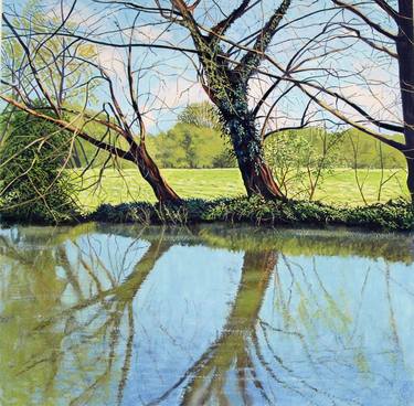 Original Fine Art Nature Paintings by David Harrison