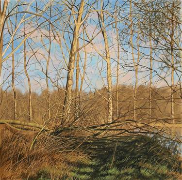 Original Fine Art Nature Paintings by David Harrison