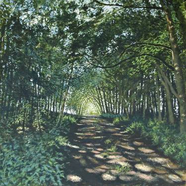 Original Fine Art Nature Paintings by David Harrison