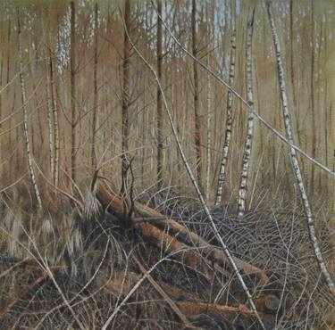 Print of Fine Art Nature Paintings by David Harrison