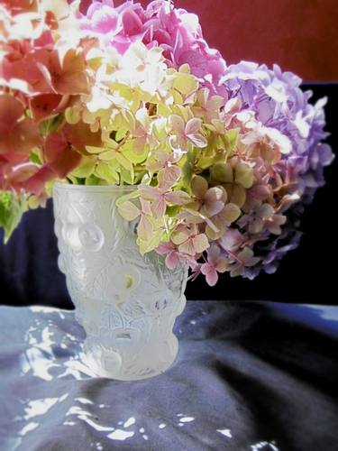 Bouquet d'hortensias - Limited Edition of 20 thumb