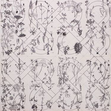 Print of Floral Drawings by Leandro Gorrini