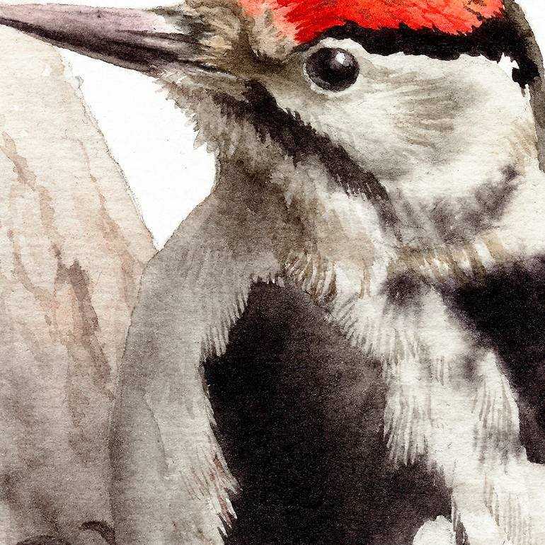 Original Documentary Animal Painting by Attila Meszlenyi