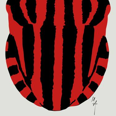 Graphosoma lineatum I. thumb