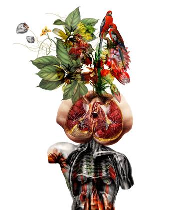 Print of Conceptual Botanic Collage by Paola Tassetti