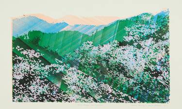 Original Landscape Paintings by Damien Borowik