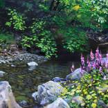 Flowering shores by Grygoriy Polishchuk