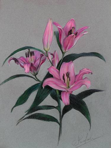 Original Fine Art Floral Drawing by Aleksey Egorov