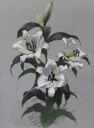 Original Fine Art Floral Drawings by Aleksey Egorov