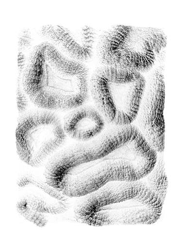 Original Black & White Patterns Photography by Daniel Ancieta