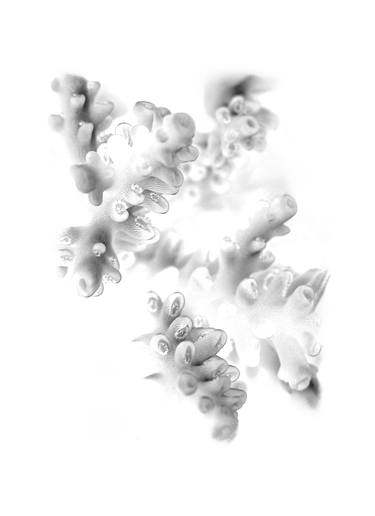 Original Abstract Patterns Photography by Daniel Ancieta