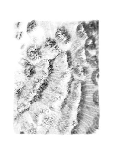 Original Black & White Abstract Photography by Daniel Ancieta