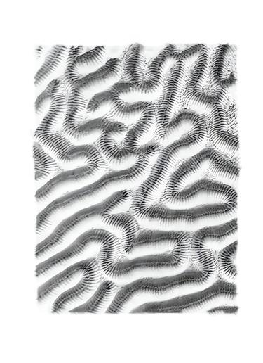 Original Black & White Abstract Photography by Daniel Ancieta