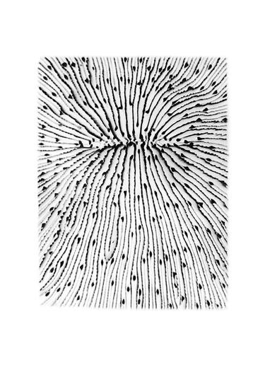 Original Conceptual Abstract Photography by Daniel Ancieta